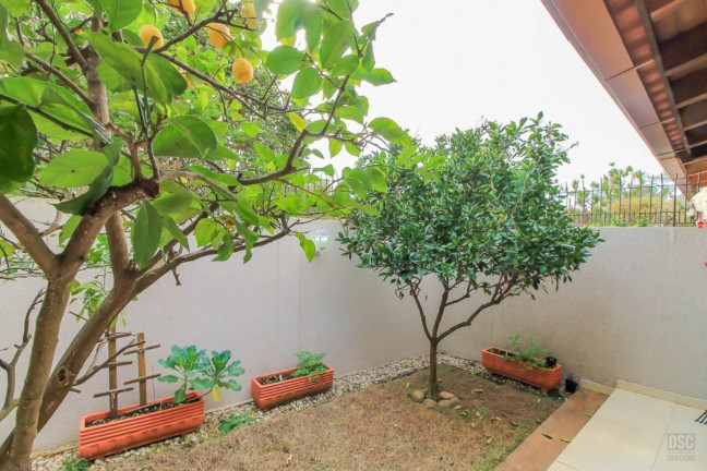 Imagem Imóvel com 3 Quartos à Venda, em Ipanema - Porto Alegre Imagem Imóvel com 3 Quartos à Venda, em Ipanema - Porto Alegre