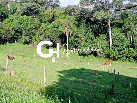 Imagem Chácara com 3 Quartos à Venda, 5 m² em Sorocamirim - Ibiúna