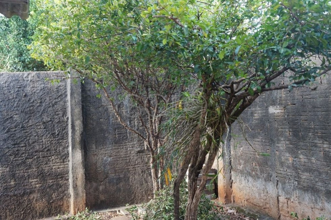 Imagem Casa com 2 Quartos à Venda, 210 m² em Yolanda Opice - Araraquara Imagem Casa com 2 Quartos à Venda, 210 m² em Yolanda Opice - Araraquara