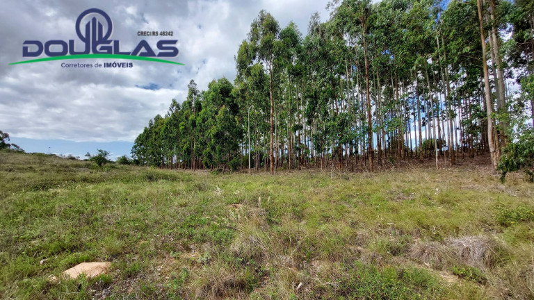 Imagem Chácara à Venda, 20.000 m² em águas Claras - Viamão