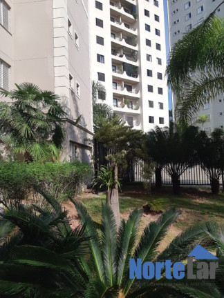 Imagem Apartamento com 3 Quartos à Venda, 70 m² em Paraíso Do Morumbi - São Paulo Imagem Apartamento com 3 Quartos à Venda, 70 m² em Paraíso Do Morumbi - São Paulo