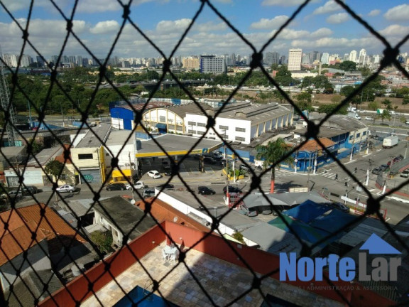 Imagem Apartamento com 2 Quartos para Alugar, 57 m² em Piqueri - São Paulo Imagem Apartamento com 2 Quartos para Alugar, 57 m² em Piqueri - São Paulo
