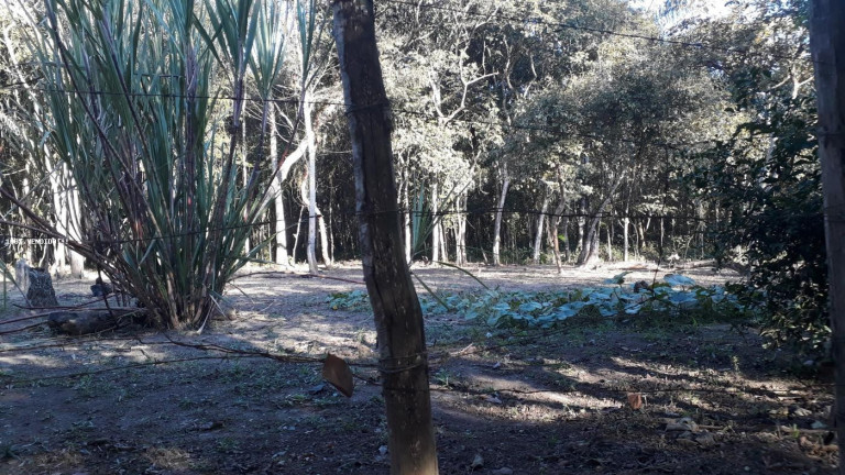 Imagem Imóvel à Venda, 500 m² em Vila Caputera - Mogi Das Cruzes