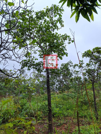 Imagem Imóvel com 3 Quartos à Venda, em Zona Rural - Montes Claros Imagem Imóvel com 3 Quartos à Venda, em Zona Rural - Montes Claros