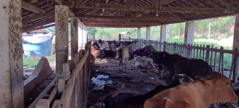 Imagem Fazenda à Venda, 150 m² em Capitão Mar - Arapeí Imagem Fazenda à Venda, 150 m² em Capitão Mar - Arapeí