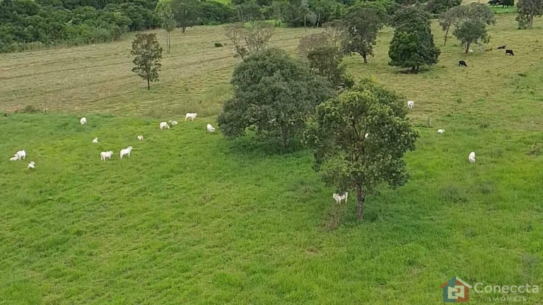 Imagem Imóvel à Venda, 48.400 m² em Centro - Prata Imagem Imóvel à Venda, 48.400 m² em Centro - Prata