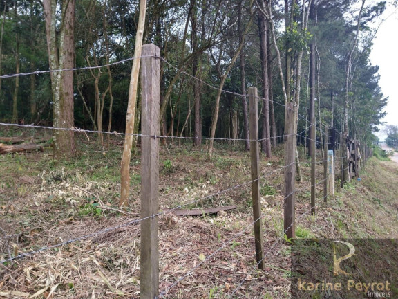 Imagem Terreno à Venda, 300 m² em Campestre - São Leopoldo