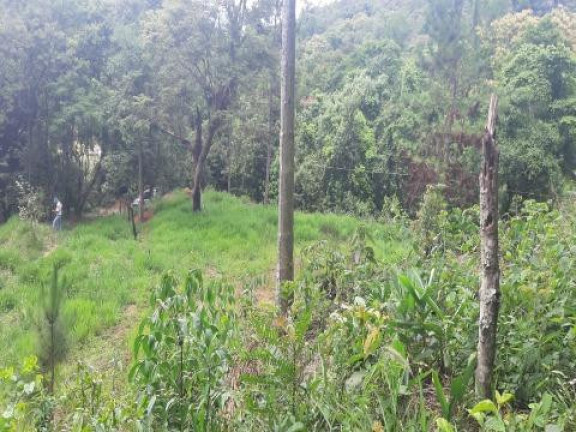 Imagem Terreno à Venda, 5.470 m² em Santa Isabel - Santa Isabel