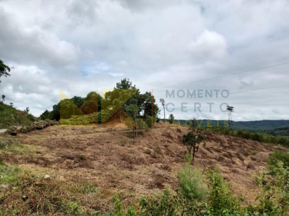 Imagem Fazenda à Venda, 64.288 m² em Barra Avencal - Rio Dos Cedros