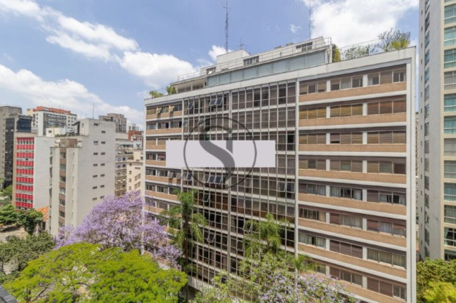 Imagem Apartamento com 3 Quartos à Venda, 235 m² em Higienópolis - São Paulo Imagem Apartamento com 3 Quartos à Venda, 235 m² em Higienópolis - São Paulo