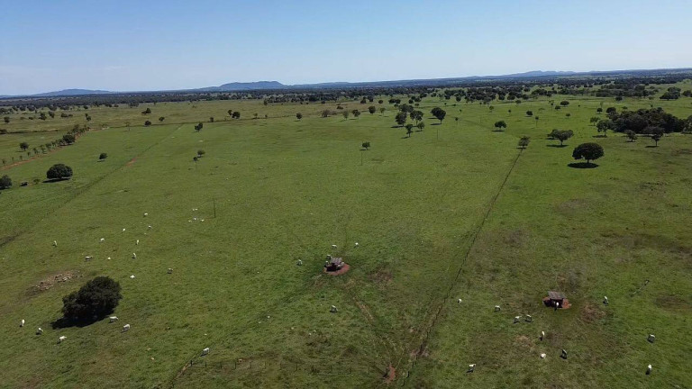 Imagem Fazenda à Venda, 242 m² em Zona Rural - Araguapaz Imagem Fazenda à Venda, 242 m² em Zona Rural - Araguapaz