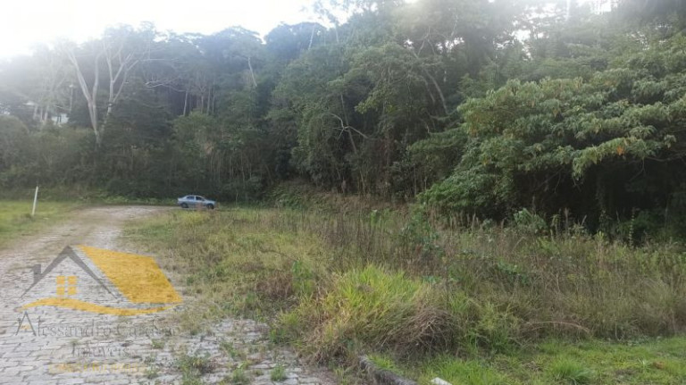 Imagem Terreno à Venda, 360 m² em Amparo - Nova Friburgo Imagem Terreno à Venda, 360 m² em Amparo - Nova Friburgo