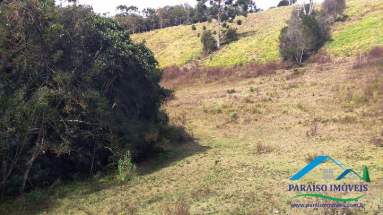 Imagem Chácara à Venda, 89 m² em Centro - Gonçalves