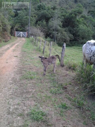 Imagem Chácara à Venda,  em São Francisco Xavier - São José Dos Campos