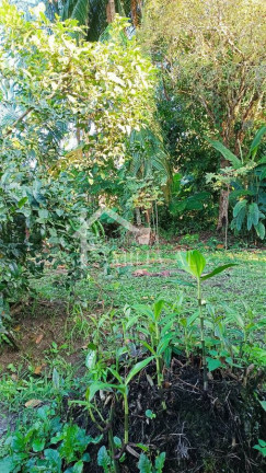 Imagem Terreno à Venda,  em Bom Retiro - Joinville
