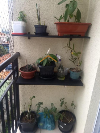 Imagem Apartamento com 2 Quartos à Venda, 50 m² em Itaquera - São Paulo