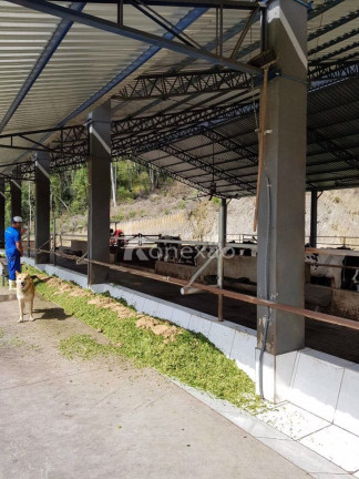 Imagem Fazenda à Venda, 90 m² em Centro - São Luíz Do Paraitinga Imagem Fazenda à Venda, 90 m² em Centro - São Luíz Do Paraitinga