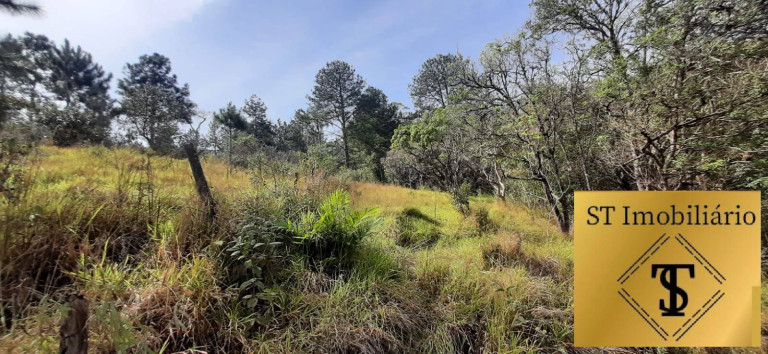Imagem Chácara com 3 Quartos à Venda, 72.000 m² em Estância Santa Maria Do Portão - Atibaia