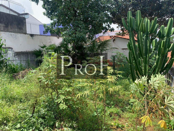 Imagem Sobrado com 4 Quartos à Venda, 286 m² em Osvaldo Cruz - São Caetano Do Sul Imagem Sobrado com 4 Quartos à Venda, 286 m² em Osvaldo Cruz - São Caetano Do Sul