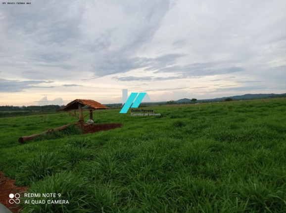 Imagem Fazenda à Venda, 1.435 m² em Zona Rural - Unaí Imagem Fazenda à Venda, 1.435 m² em Zona Rural - Unaí