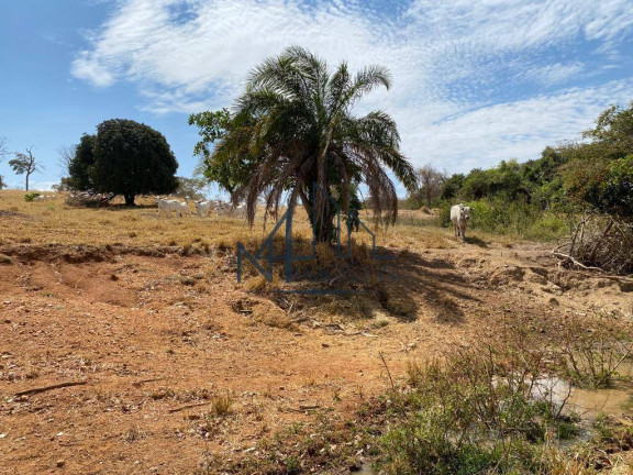 Imagem Fazenda à Venda, em Goiás Imagem Fazenda à Venda, em Goiás