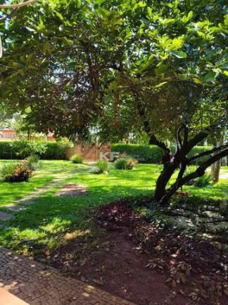 Imagem Imóvel com 4 Quartos à Venda, 1.960 m² em Parque São Sebastião - Ribeirão Preto Imagem Imóvel com 4 Quartos à Venda, 1.960 m² em Parque São Sebastião - Ribeirão Preto