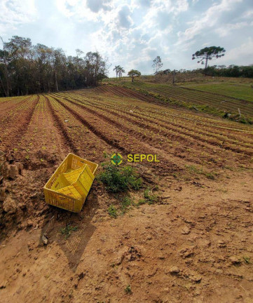 Imagem Terreno à Venda, 19.000 m² em Jardim Do Pinhal - Pinhalzinho Imagem Terreno à Venda, 19.000 m² em Jardim Do Pinhal - Pinhalzinho