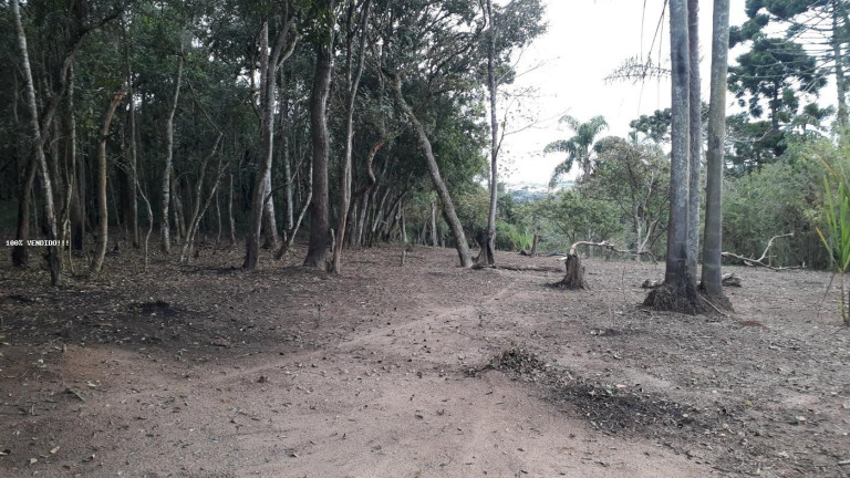 Imagem Imóvel à Venda, 500 m² em Vila Caputera - Mogi Das Cruzes