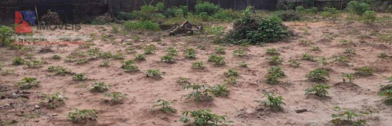 Terreno à Venda, 900 m² em Nova Parnamirim - Parnamirim