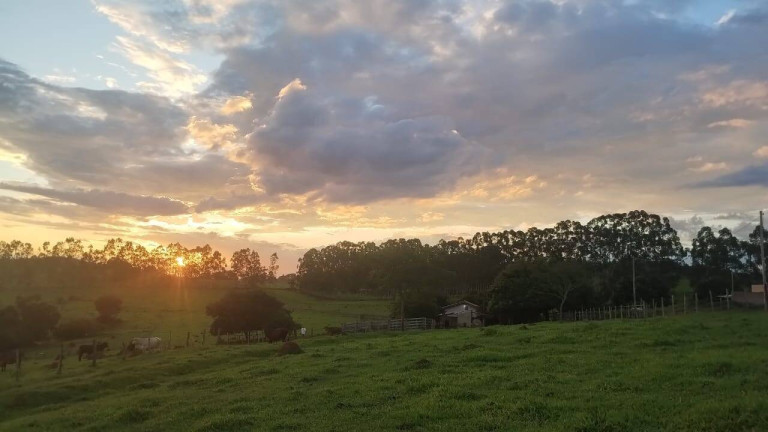 Imagem Chácara à Venda, 2 m² em Vargem Grande Do Sul Imagem Chácara à Venda, 2 m² em Vargem Grande Do Sul