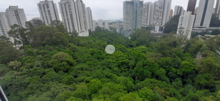 Imagem Apartamento com 2 Quartos para Alugar, 56 m² em Vila Andrade - São Paulo Imagem Apartamento com 2 Quartos para Alugar, 56 m² em Vila Andrade - São Paulo
