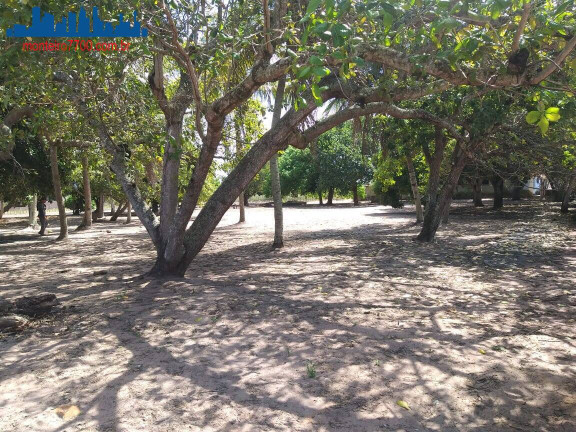 Imagem Terreno à Venda, 6.400 m² em Guajirú - São Gonçalo Do Amarante