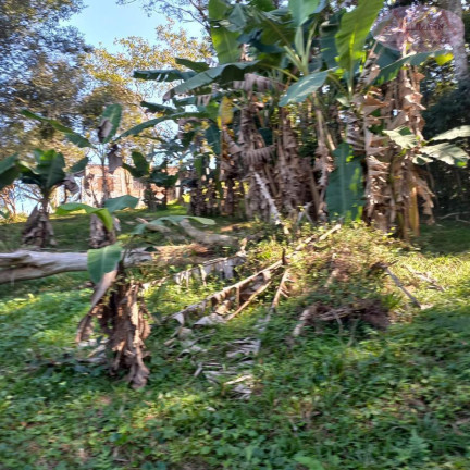 Imagem Imóvel com 6 Quartos à Venda, 54 m² em Bairro Oasis Paulista - Rio Grande Da Serra