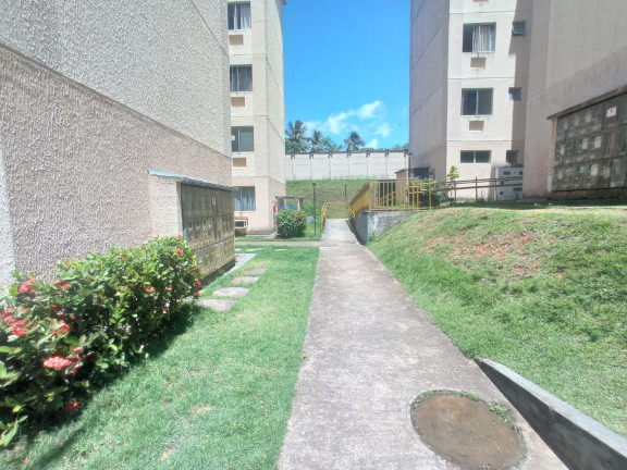 Imagem Apartamento com 2 Quartos à Venda, 39 m² em Boa União (abrantes) - Camaçari Imagem Apartamento com 2 Quartos à Venda, 39 m² em Boa União (abrantes) - Camaçari