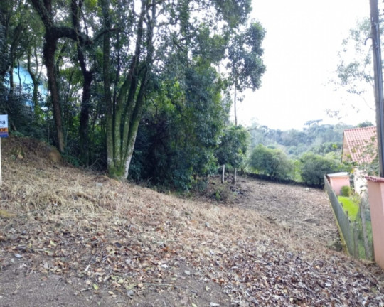 Imagem Imóvel à Venda, 432 m² em Centro - Nova Petrópolis Imagem Imóvel à Venda, 432 m² em Centro - Nova Petrópolis