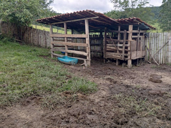 Imagem Chácara com 2 Quartos à Venda, 250 m² em Espírito Santo - Paraibuna