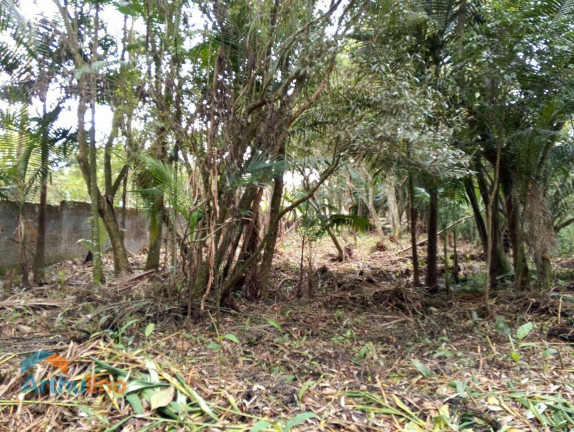 Imagem Imóvel à Venda, 4.000 m² em Itapecerica Da Serra - Itapecerica Da Serra Imagem Imóvel à Venda, 4.000 m² em Itapecerica Da Serra - Itapecerica Da Serra