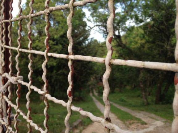 Imagem Terreno à Venda, 80 m² em Santa Felicidade - Curitiba
