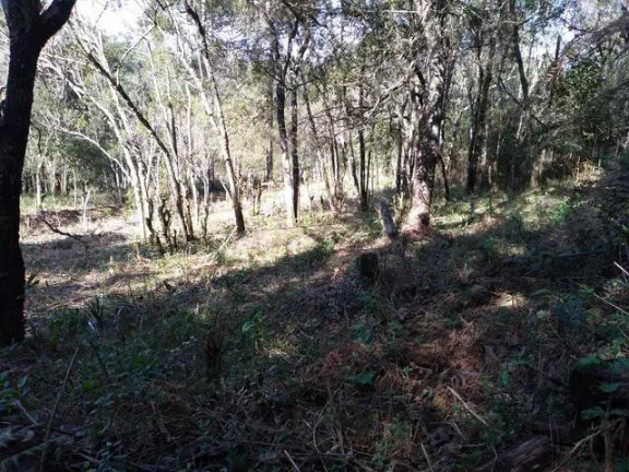 Imagem Imóvel com 4 Quartos à Venda, 24.200 m² em água Azul - Lapa Imagem Imóvel com 4 Quartos à Venda, 24.200 m² em água Azul - Lapa