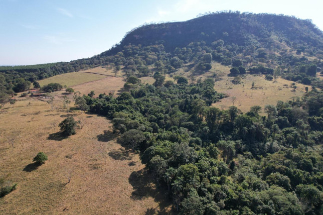 Imagem Chácara à Venda, 15 m² em Zona Rural - Santo Antônio Da Alegria Imagem Chácara à Venda, 15 m² em Zona Rural - Santo Antônio Da Alegria