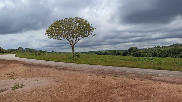 Imagem Fazenda à Venda, 1.077 m² em Campo Verde Imagem Fazenda à Venda, 1.077 m² em Campo Verde