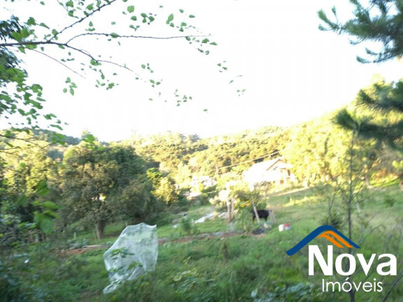 Imagem Imóvel à Venda, 6.667 m² em Piá - Nova Petrópolis Imagem Imóvel à Venda, 6.667 m² em Piá - Nova Petrópolis