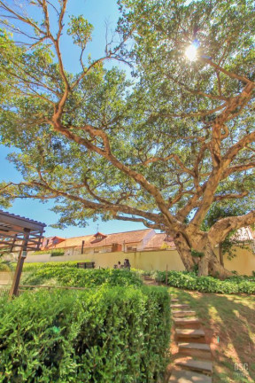 Imagem Apartamento com 3 Quartos à Venda, 90 m² em Ipanema - Porto Alegre