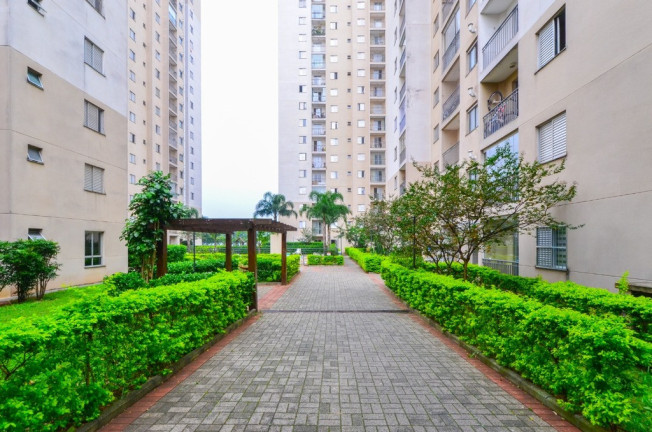 Imagem Apartamento com 2 Quartos à Venda, 54 m² em Vila Liviero - São Paulo Imagem Apartamento com 2 Quartos à Venda, 54 m² em Vila Liviero - São Paulo