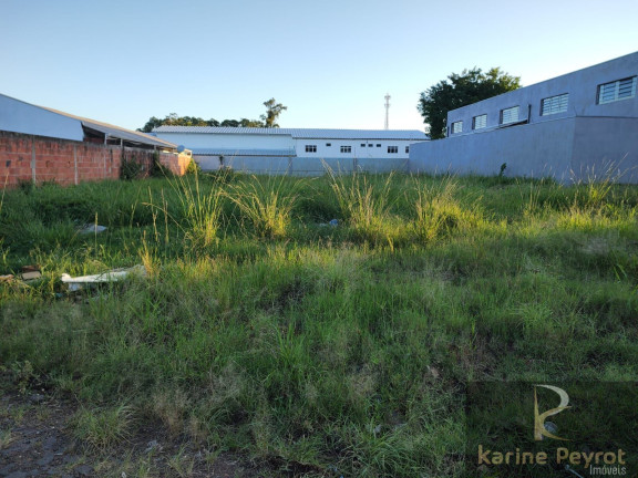 Imagem Terreno à Venda, 722 m² em Arroio Da Manteiga - São Leopoldo