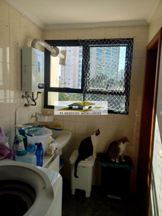Imagem Apartamento com 4 Quartos à Venda, 185 m² em Jardim Avelino - São Paulo Imagem Apartamento com 4 Quartos à Venda, 185 m² em Jardim Avelino - São Paulo