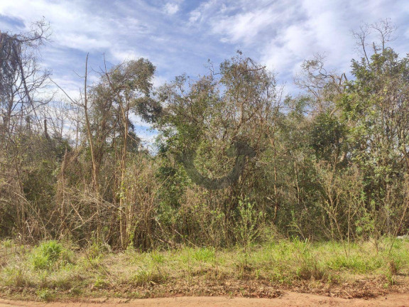Imagem Terreno à Venda, 12.900 m² em João Alves - Santa Cruz Do Sul Imagem Terreno à Venda, 12.900 m² em João Alves - Santa Cruz Do Sul