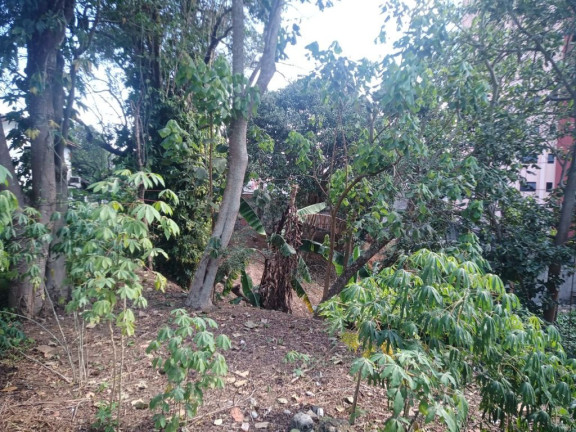 Imagem Terreno à Venda, 1.078 m² em Centro - Poá Imagem Terreno à Venda, 1.078 m² em Centro - Poá