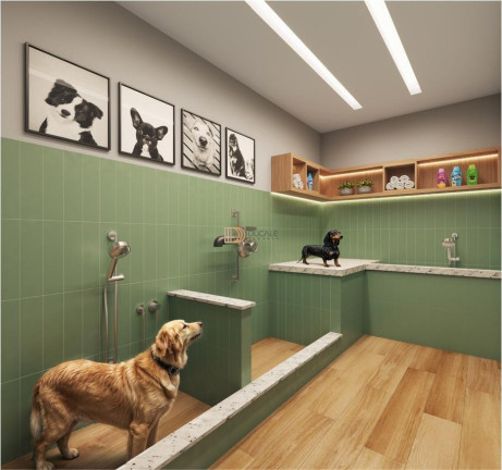 Imagem Apartamento com 2 Quartos à Venda, 62 m² em Jardim Da Penha - Vitória Imagem Apartamento com 2 Quartos à Venda, 62 m² em Jardim Da Penha - Vitória