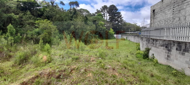 Imagem Terreno à Venda, 4.596 m² em Pilarzinho - Curitiba Imagem Terreno à Venda, 4.596 m² em Pilarzinho - Curitiba